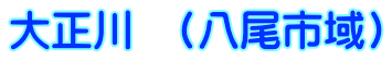 大正川　(八尾市域)